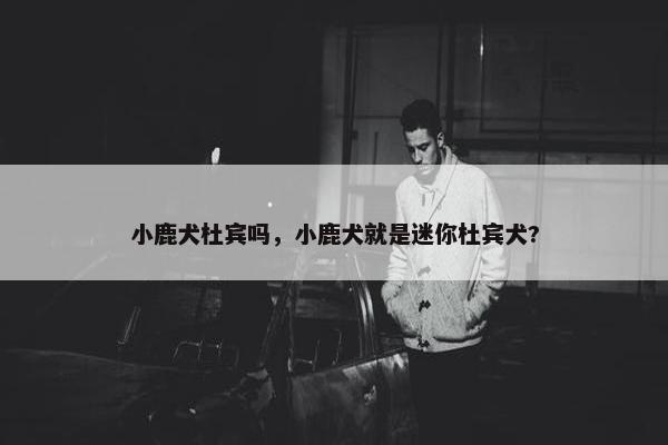 小鹿犬杜宾吗，小鹿犬就是迷你杜宾犬?