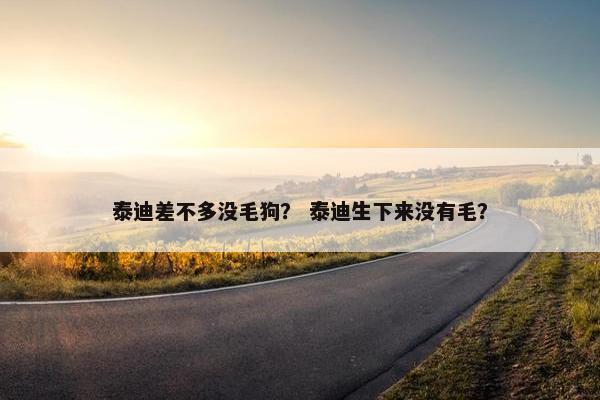 泰迪差不多没毛狗？ 泰迪生下来没有毛？