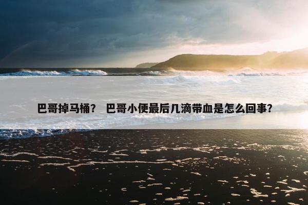 巴哥掉马桶？ 巴哥小便最后几滴带血是怎么回事？