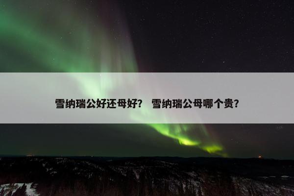 雪纳瑞公好还母好？ 雪纳瑞公母哪个贵？
