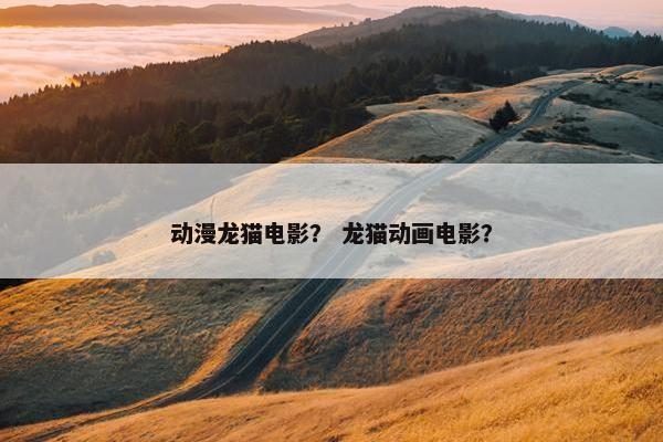 动漫龙猫电影？ 龙猫动画电影？