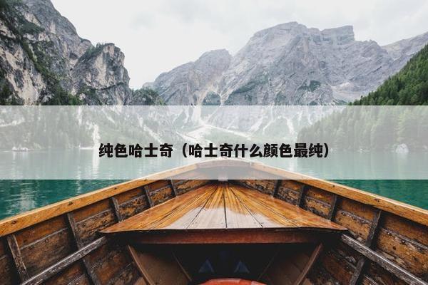 纯色哈士奇（哈士奇什么颜色最纯）