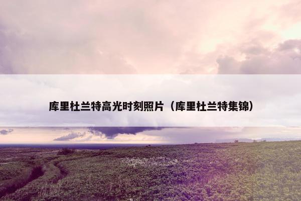 库里杜兰特高光时刻照片（库里杜兰特集锦）