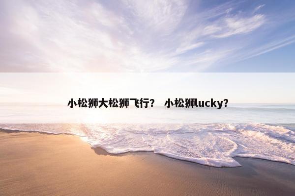 小松狮大松狮飞行？ 小松狮lucky？