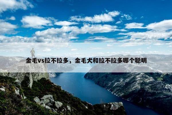 金毛vs拉不拉多，金毛犬和拉不拉多哪个聪明