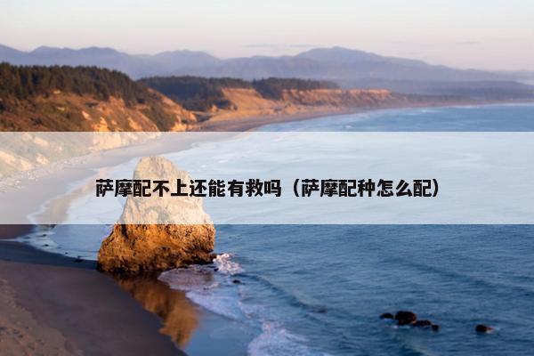 萨摩配不上还能有救吗（萨摩配种怎么配）